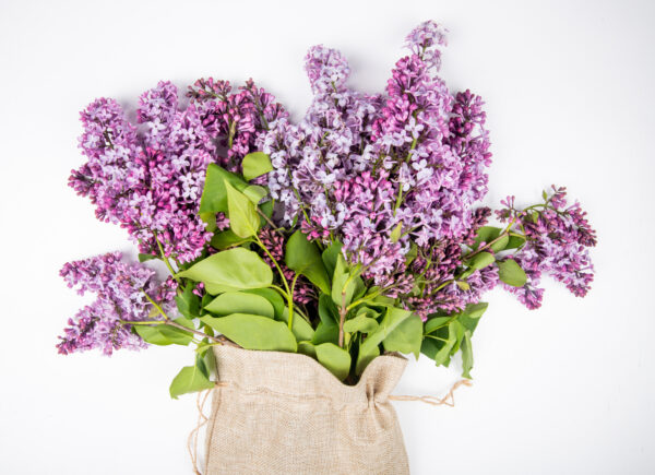Cones de Incenso de Refluxo - Lavanda - Image 3
