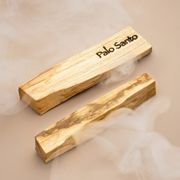 Sticks of a Palo Santo tree on a beige background